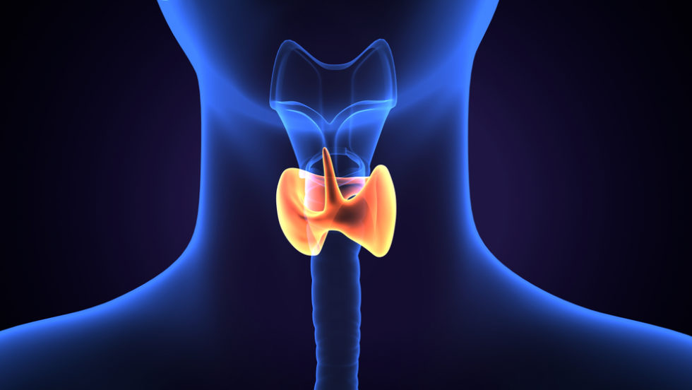 Hyperparathyroidism And Cancer Dr Babak Larian