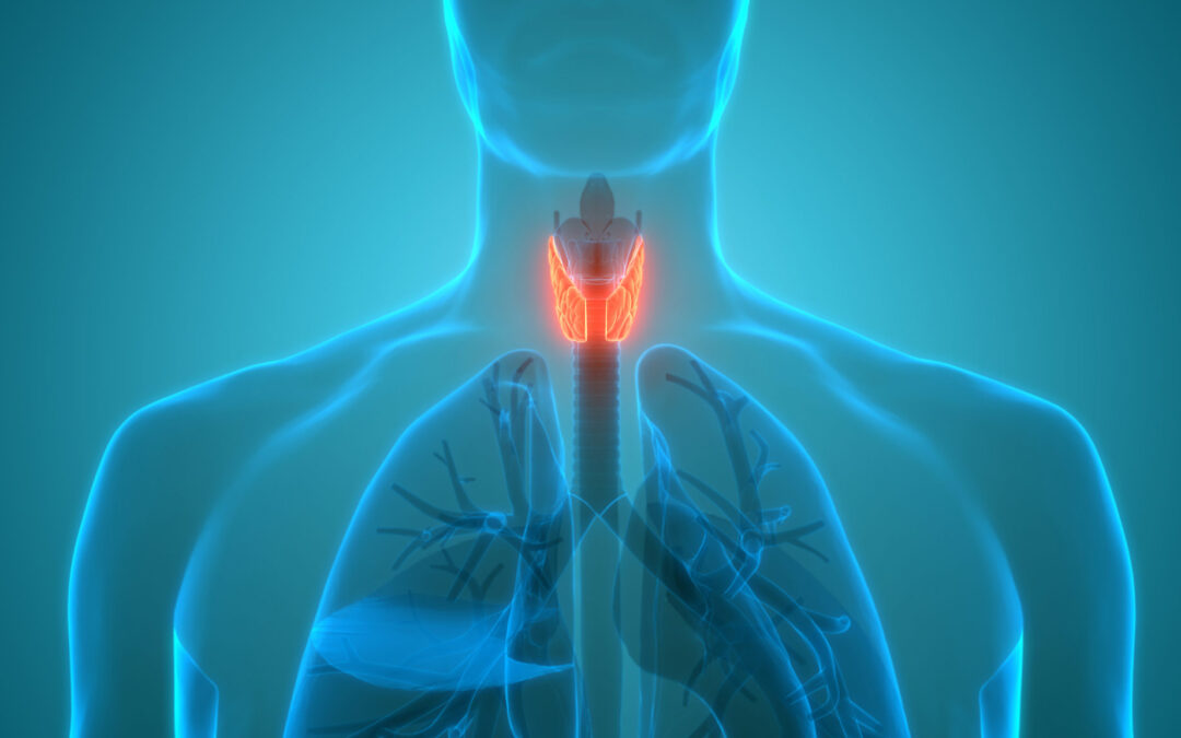 Animation Of Thyroid And Parathyroid Hyperparathyroidism Surgery Dr