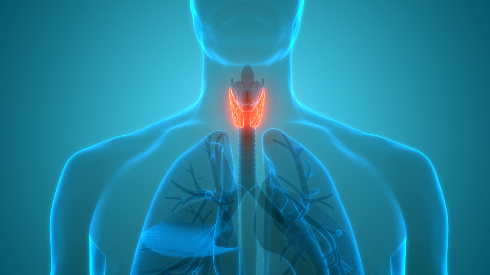 Are Hyperparathyroidism And Hypothyroidism Related Dr Larian